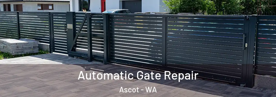 Automatic Gate Repair Ascot - WA