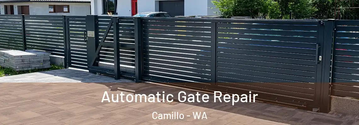 Automatic Gate Repair Camillo - WA