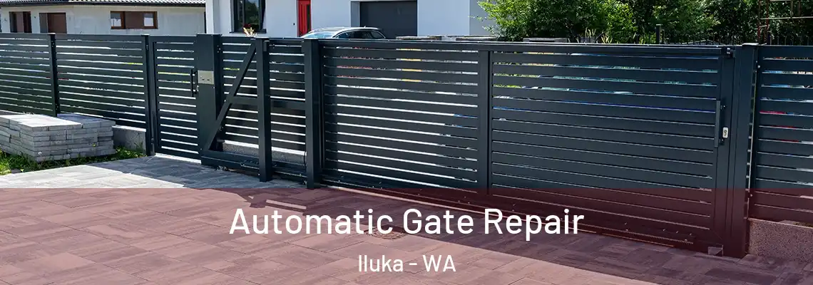 Automatic Gate Repair Iluka - WA