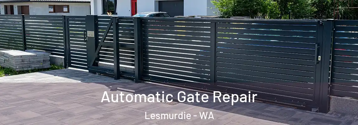 Automatic Gate Repair Lesmurdie - WA