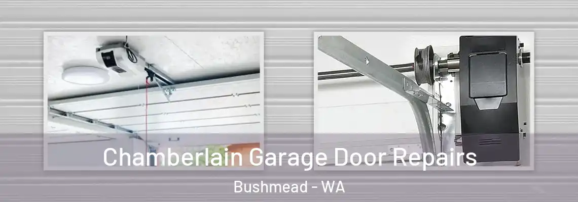Chamberlain Garage Door Repairs Bushmead - WA