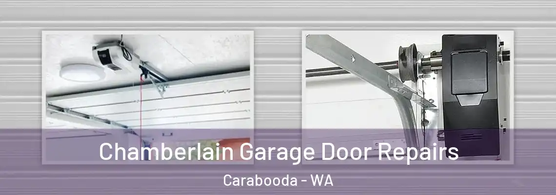 Chamberlain Garage Door Repairs Carabooda - WA