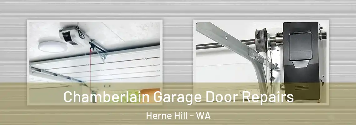 Chamberlain Garage Door Repairs Herne Hill - WA
