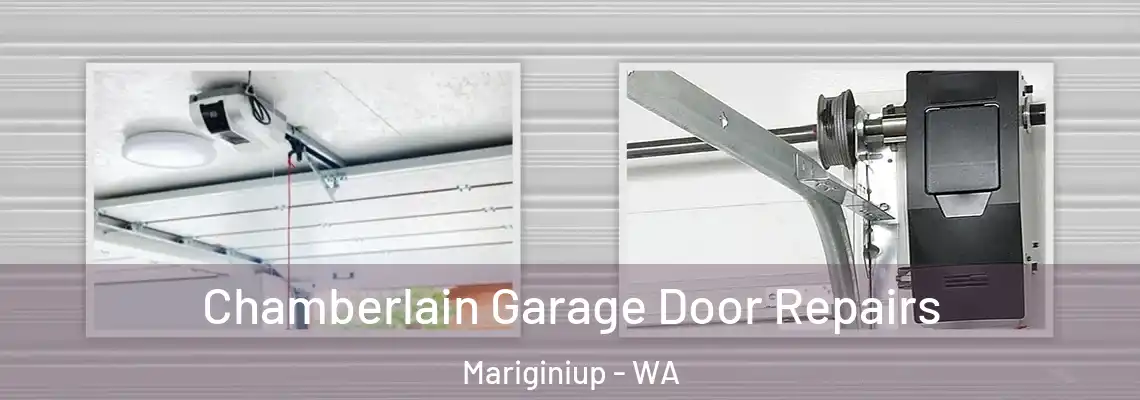 Chamberlain Garage Door Repairs Mariginiup - WA