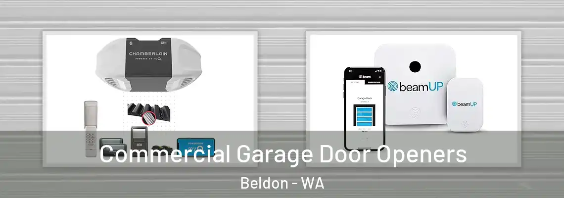  Commercial Garage Door Openers Beldon - WA