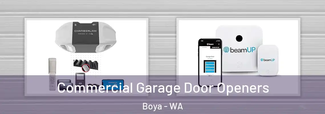 Commercial Garage Door Openers Boya - WA
