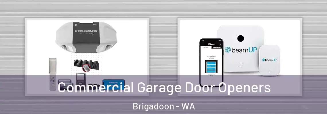 Commercial Garage Door Openers Brigadoon - WA
