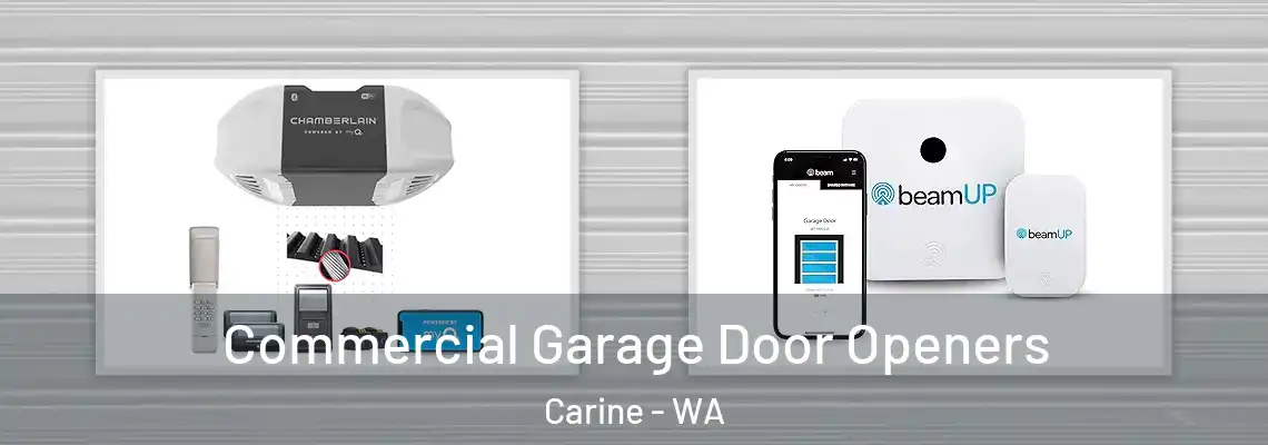 Commercial Garage Door Openers Carine - WA