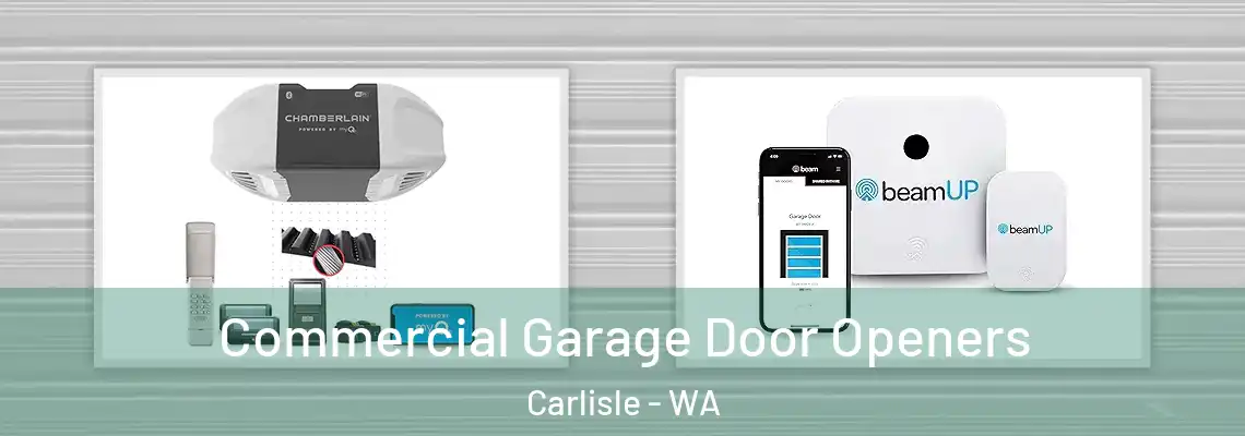 Commercial Garage Door Openers Carlisle - WA