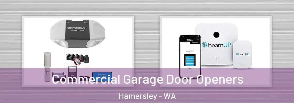 Commercial Garage Door Openers Hamersley - WA