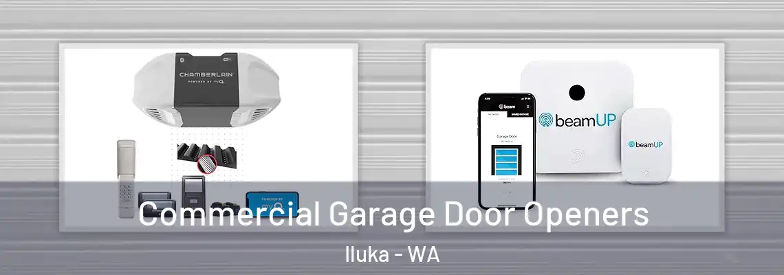 Commercial Garage Door Openers Iluka - WA