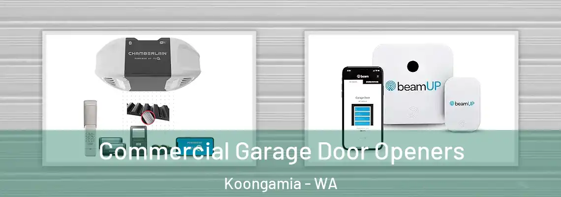 Commercial Garage Door Openers Koongamia - WA