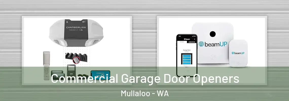 Commercial Garage Door Openers Mullaloo - WA