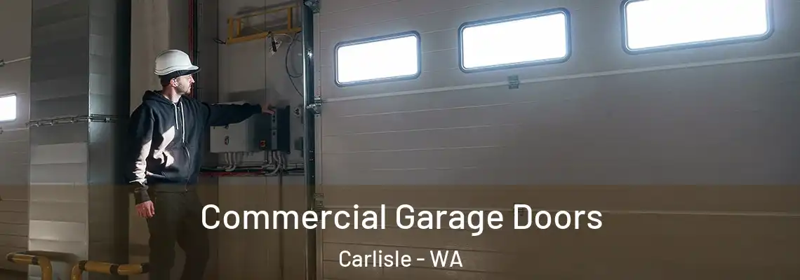  Commercial Garage Doors Carlisle - WA