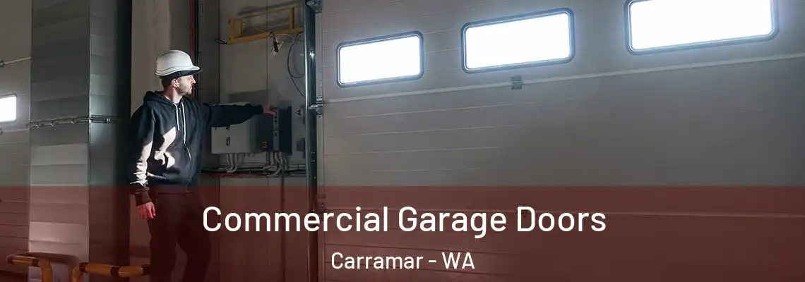 Commercial Garage Doors Carramar - WA