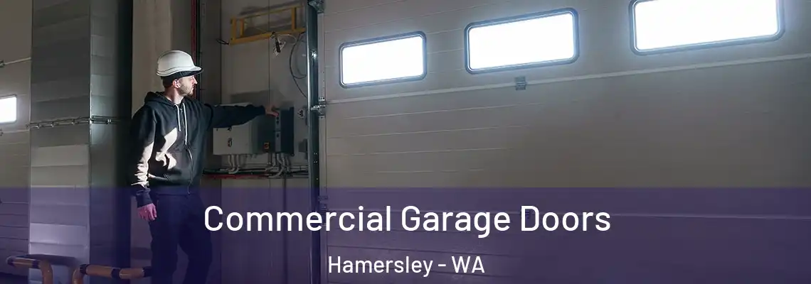  Commercial Garage Doors Hamersley - WA