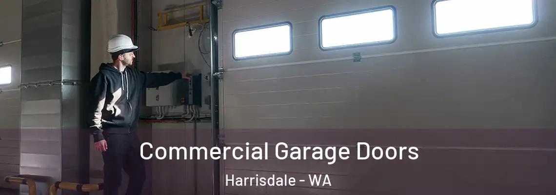 Commercial Garage Doors Harrisdale - WA