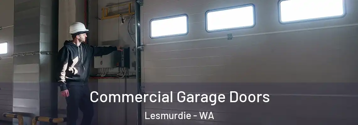  Commercial Garage Doors Lesmurdie - WA