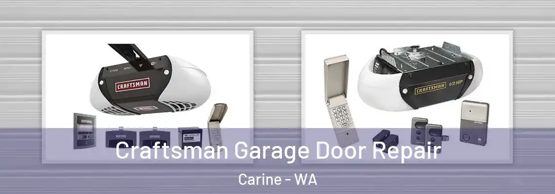 Craftsman Garage Door Repair Carine - WA