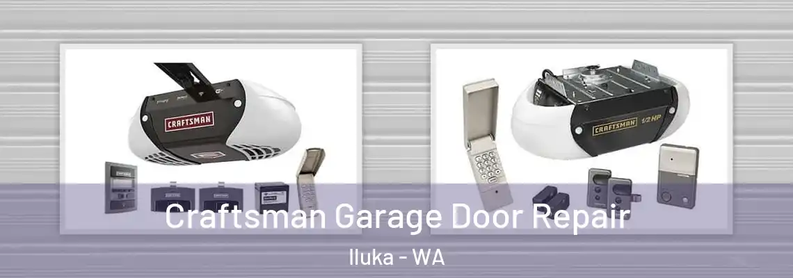 Craftsman Garage Door Repair Iluka - WA
