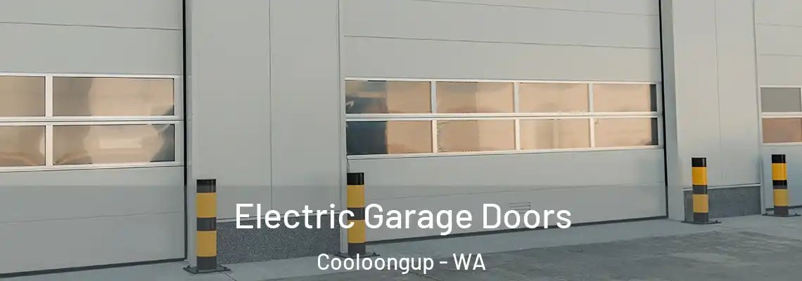 Electric Garage Doors Cooloongup - WA