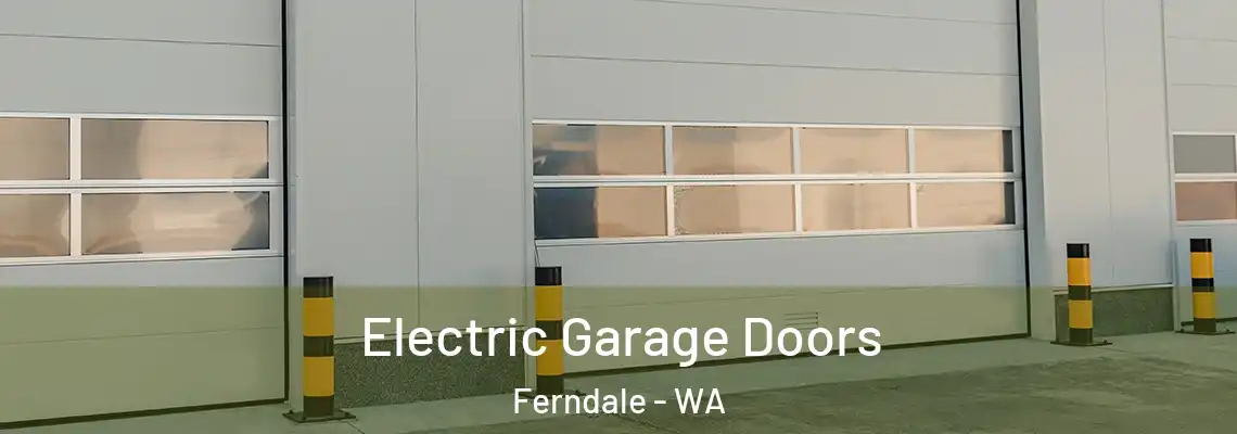 Electric Garage Doors Ferndale - WA