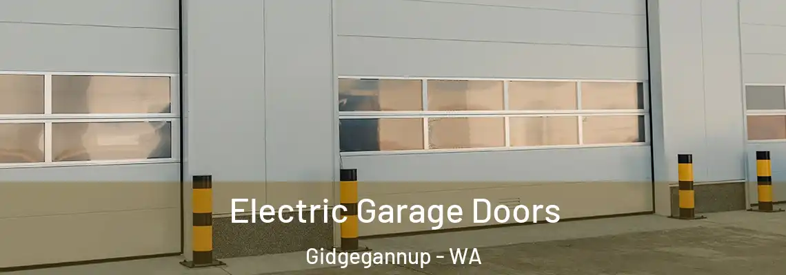 Electric Garage Doors Gidgegannup - WA