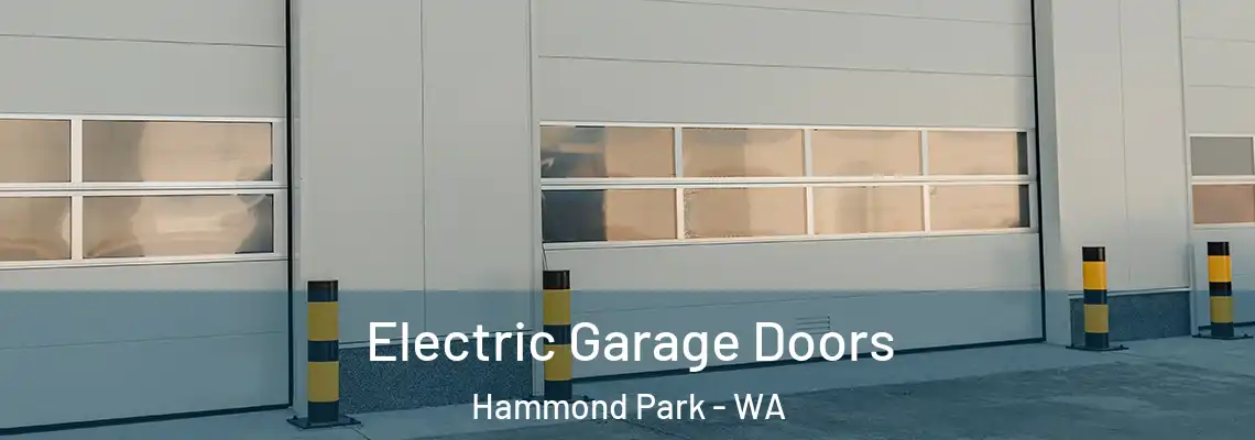  Electric Garage Doors Hammond Park - WA