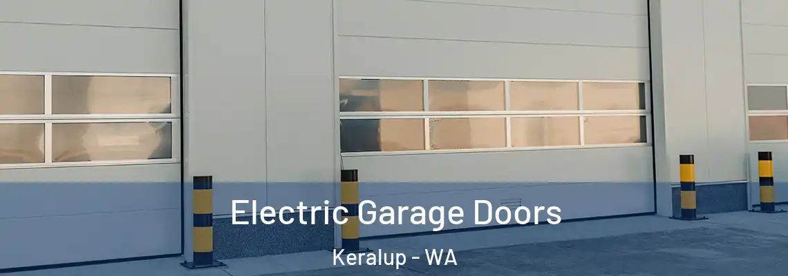 Electric Garage Doors Keralup - WA