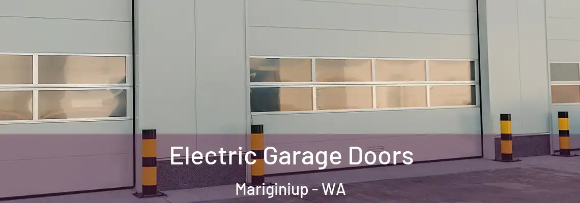  Electric Garage Doors Mariginiup - WA