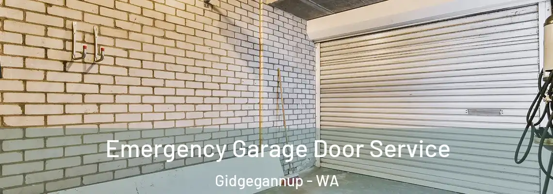 Emergency Garage Door Service Gidgegannup - WA