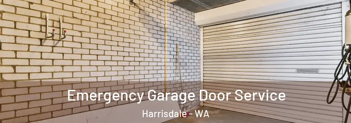 Emergency Garage Door Service Harrisdale - WA