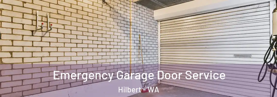 Emergency Garage Door Service Hilbert - WA