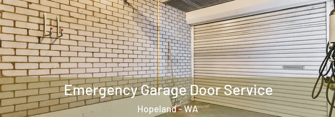 Emergency Garage Door Service Hopeland - WA