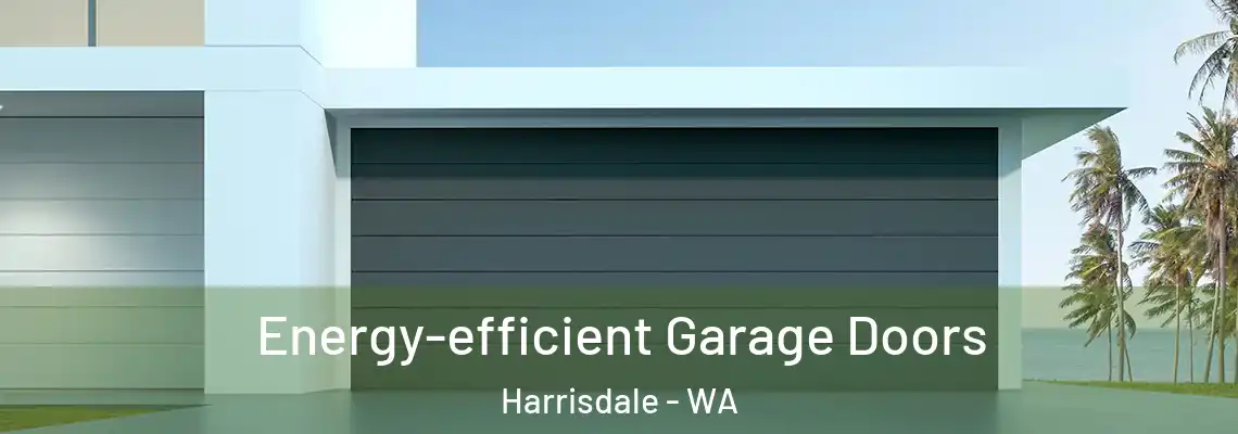 Energy-efficient Garage Doors Harrisdale - WA