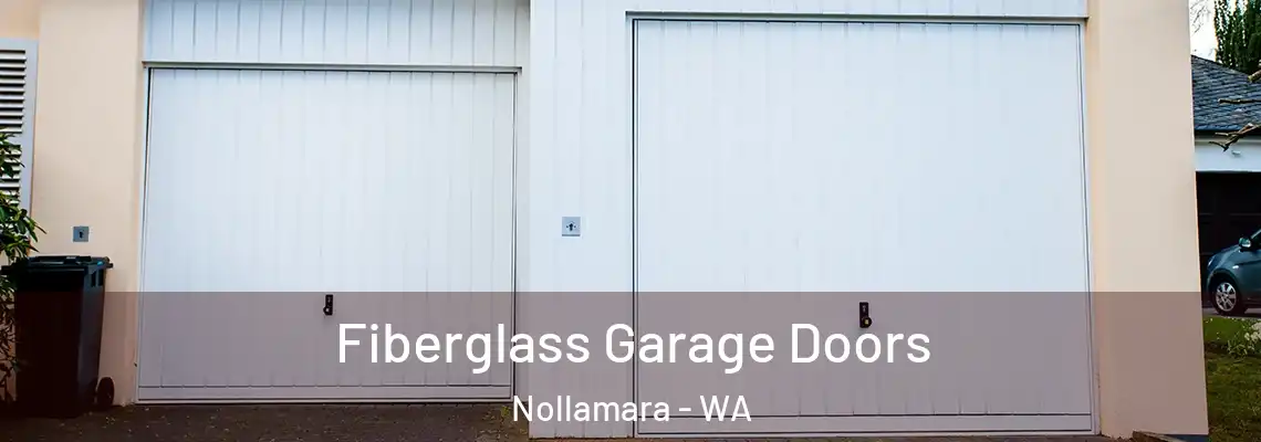 Fiberglass Garage Doors Nollamara - WA