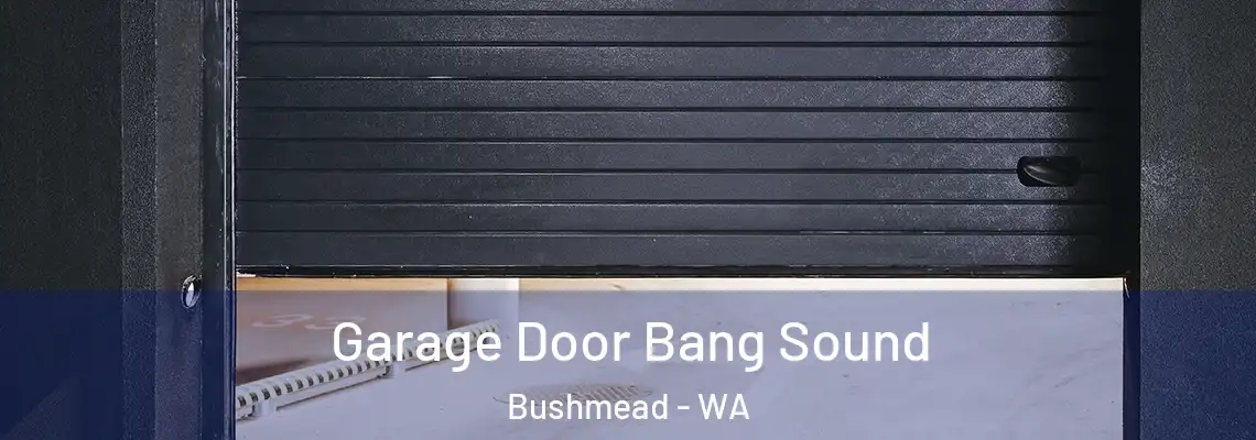 Garage Door Bang Sound Bushmead - WA