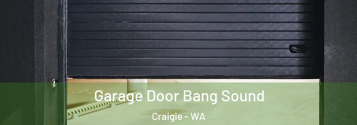 Garage Door Bang Sound Craigie - WA