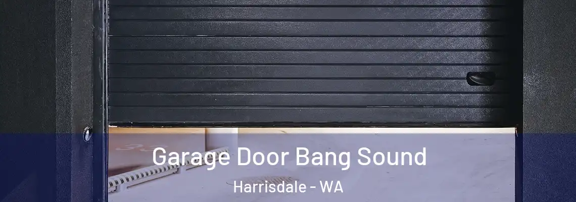 Garage Door Bang Sound Harrisdale - WA