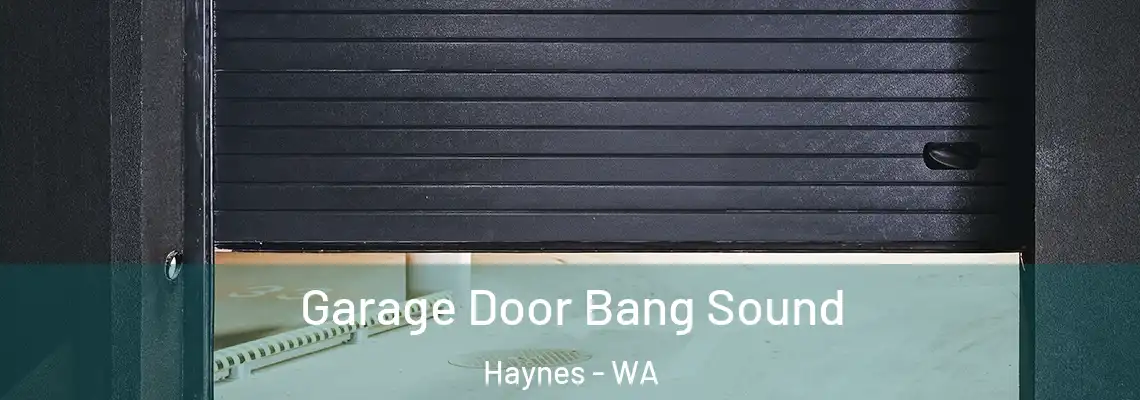 Garage Door Bang Sound Haynes - WA