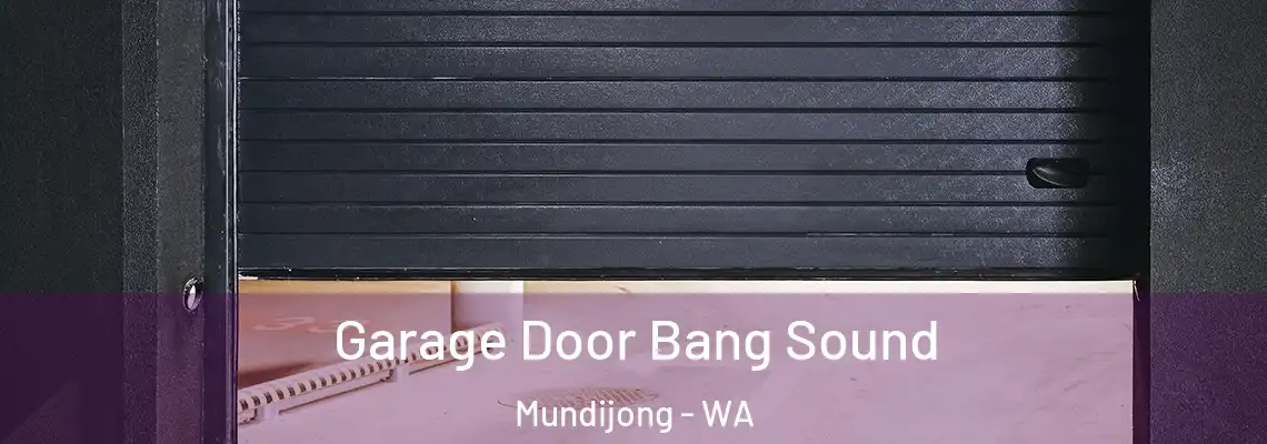 Garage Door Bang Sound Mundijong - WA