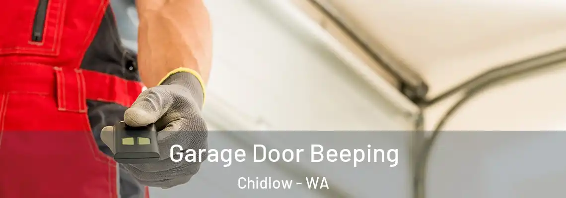 Garage Door Beeping Chidlow - WA