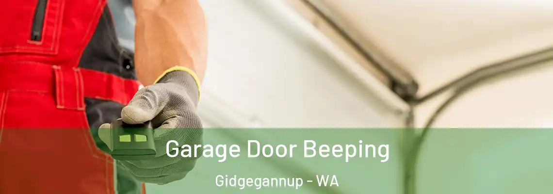 Garage Door Beeping Gidgegannup - WA