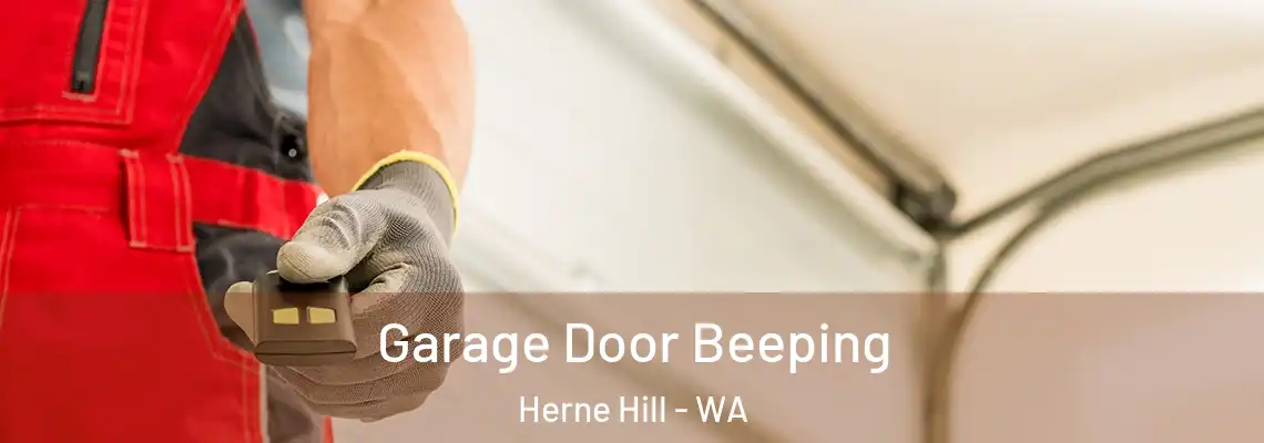 Garage Door Beeping Herne Hill - WA
