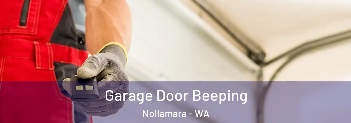 Garage Door Beeping Nollamara - WA