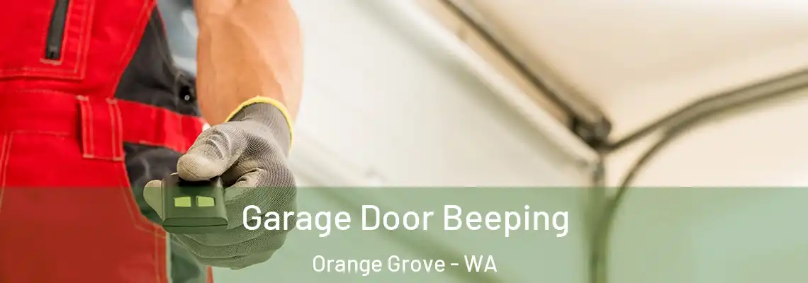 Garage Door Beeping Orange Grove - WA