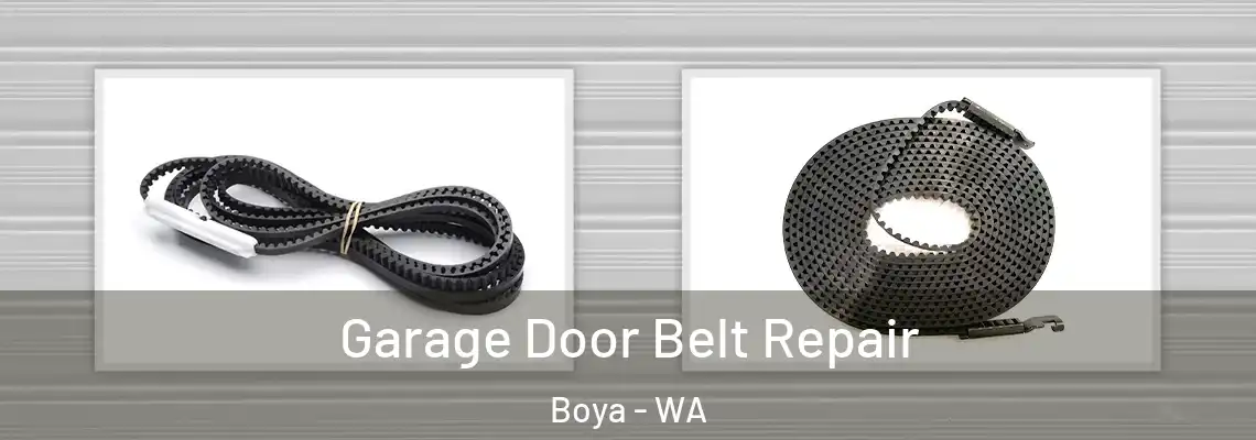 Garage Door Belt Repair Boya - WA