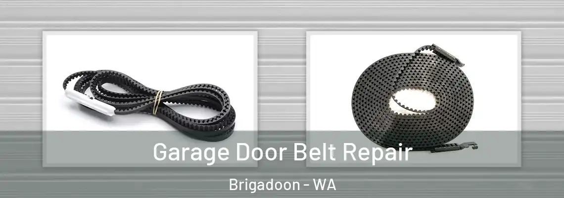Garage Door Belt Repair Brigadoon - WA