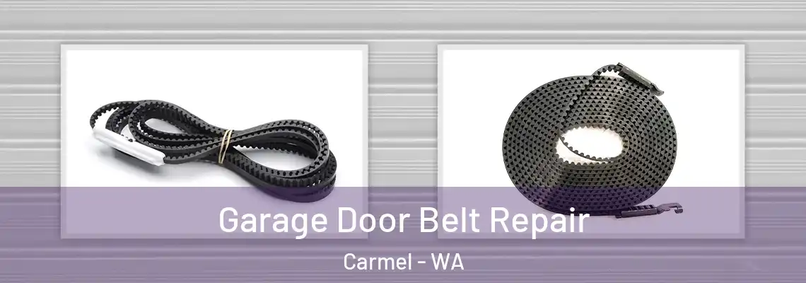 Garage Door Belt Repair Carmel - WA