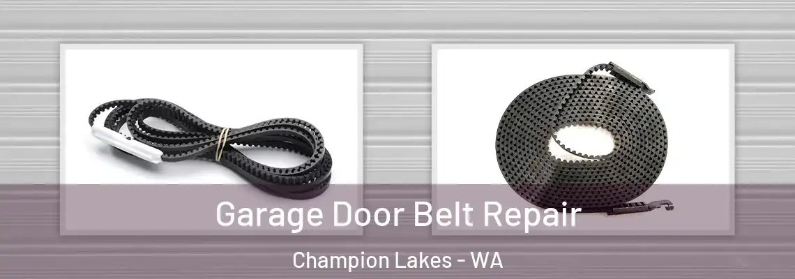 Garage Door Belt Repair Champion Lakes - WA